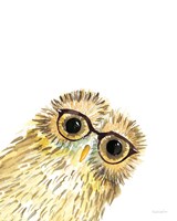 Owl in Glasses Framed Print
