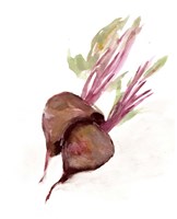 Veggie Sketch plain IV-Brown Beets Framed Print