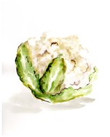 Veggie Sketch plain VI-Cauliflower Framed Print
