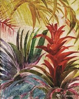 Tropic Botanicals VI Framed Print