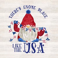 Patriotic Gnomes III-USA Framed Print