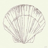Coastal Breeze Shell Sketches V Silver Framed Print