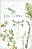 My Greenhouse Botanical Dragonfly Framed Print