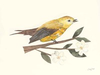 Birds and Blossoms I Framed Print