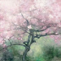 Blooming Apple Tree Framed Print