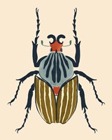 Beetle Bug I Framed Print