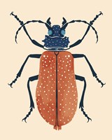 Beetle Bug III Framed Print