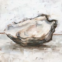 Oyster Study I Framed Print