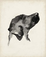 Puppy Profile I Framed Print