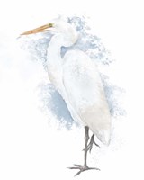 Coastal Heron I Framed Print