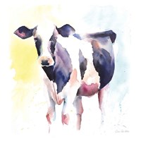 Holstein IV Framed Print