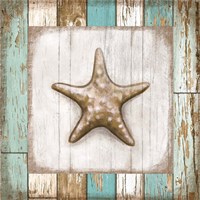 Starfish on Beach Framed Print