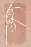 Fall Grasses No. 1 Framed Print