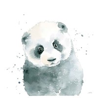 Panda Cub Framed Print