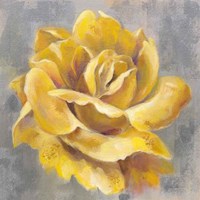 Yellow Roses I Framed Print