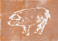 Country Pig Framed Print