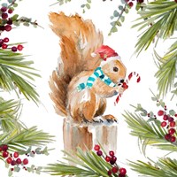 Holiday Squirrel Framed Print