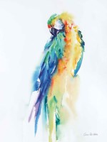 Colorful Parrots II Framed Print