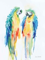 Colorful Parrots I Framed Print