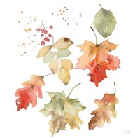 Falling Leaves II Framed Print