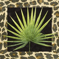 Tropic Collection I Framed Print