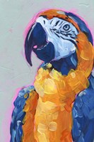 Pop Art Parrot I Framed Print