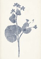 Navy Botanicals VI Framed Print