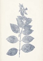 Navy Botanicals IX Framed Print