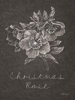 Black and White Chalkboard Christmas III Framed Print