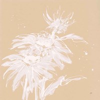 Echinacea I Framed Print