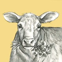Cow 2 Framed Print