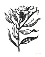 Ink Flower I Framed Print