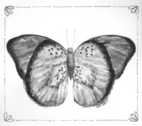 Butterfly V Framed Print
