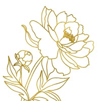 Gold Floral III Framed Print