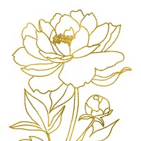 Gold Floral IV Framed Print