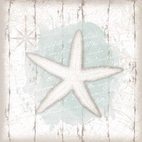 Calming Coastal Starfish Framed Print