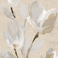 Neutral Tulips II Framed Print