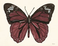 Papillon 6 Framed Print