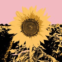 Pop Art Sunflower III Framed Print