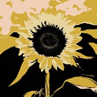 Pop Art Sunflower IV Framed Print