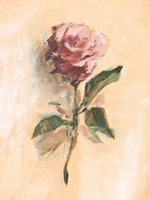 Painterly Rose Study II Framed Print