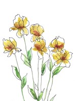Amber Tulips II Framed Print