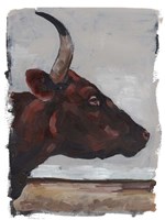 Cattle View II Framed Print