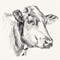 Holstein Portrait Sketch I Framed Print