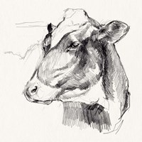 Holstein Portrait Sketch II Framed Print