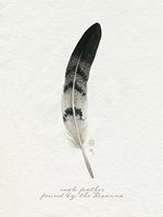 Found Feather I Framed Print