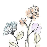 Spindle Blossoms VII Framed Print