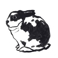 Winter Rabbit IV Framed Print