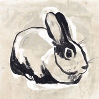 Antique Rabbit I Framed Print