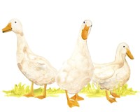 Quack Squad I Framed Print